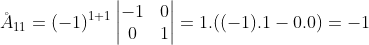 \AA_{11}=(-1)^{1+1}\begin{vmatrix} -1 & 0\\  0 & 1 \end{vmatrix}=1.((-1).1-0.0)=-1