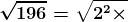 \boldsymbol{\sqrt{196}=\sqrt{2^{2}\times 7^{2}}}