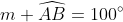 m \widehat{AB}=100^\circ