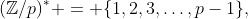 (\mathbb{Z}/p)^* = \{1,2,3,\ldots,p-1\},