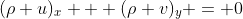 (\rho u)_x + (\rho v)_y = 0