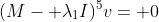 (M- \lambda_1I)^5v= 0