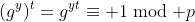 (g^y)^t=g^{yt}\equiv 1\bmod p