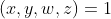 (x,y,w,z)=1