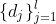 \{d_j\}_{j=1}^l