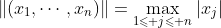 \|(x_1,\cdots,x_n)\|=\max_{1\leqslant j\leqslant n}|x_j|