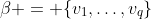 \beta = \{v_1,\dots,v_q\}