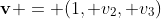 \bold{v} = (1, v_{2}, v_{3})