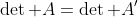 \det A=\det A'
