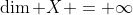 \dim X = \infty