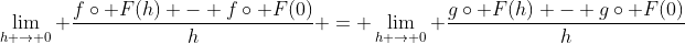 \displaystyle\lim_{h \rightarrow 0} \frac{f\circ F(h) - f\circ F(0)}{h} = \displaystyle\lim_{h \rightarrow 0} \frac{g\circ F(h) - g\circ F(0)}{h}