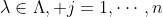 \lambda\in\Lambda, j=1,\cdots,n