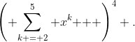 \left( {\sum\limits_{k = 2}^5 {x^k } } \right)^4 .