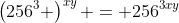 \left(256^3 \right)^{xy} = 256^{3xy}