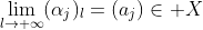 \lim_{l\rightarrow \infty}(\alpha_j)_l=(a_j)\in X