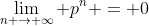 \lim_{n \rightarrow \infty} p^n = 0