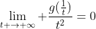 \lim_{t \rightarrow \infty} \frac{g(\frac{1}{t})}{t^{2}}=0