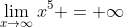 \lim_{x\to\infty}x^5 = \infty