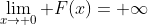 \lim_{x\to 0} F(x)= \infty
