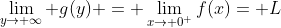 \lim_{y\to \infty} g(y) = \lim_{x\to 0^{+}}f(x)= L