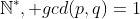 \mathbb{N}^*, gcd(p,q)=1