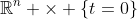 \mathbb{R}^n \times \{t=0\}