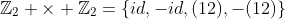 \mathbb{Z}_{2} \times \mathbb{Z}_{2}=\{id,-id,(12),-(12)\}