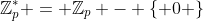 \mathbb{Z}_p^* = \mathbb{Z}_p - \{ 0 \}