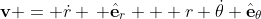 \mathbf{v} = \dot{r} \, \hat{\mathbf{e}}_{r} + r \dot{\theta} \hat{\mathbf{e}}_{\theta}