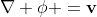 \nabla \phi =\mathbf{v}