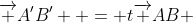 \overrightarrow {A'B'}  = t\overrightarrow {AB} 