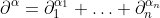 \partial^{\alpha}=\partial_1^{\alpha_1} \ldots \partial_n^{\alpha_n}