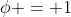 \phi = 1