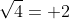 \sqrt{4}= 2