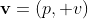 \textbf{v}=(p, v)