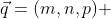 \vec{q}=(m,n,p) 