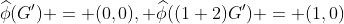 \widehat{\phi}(G') = (0,0), \widehat{\phi}((1 2)G') = (1,0)