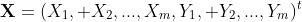 {\bf{X}}=(X_1, X_2,...,X_m,Y_1, Y_2,...,Y_m)^t