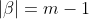 |\beta|=m-1