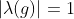 |\lambda(g)|=1