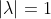 |\lambda|=1