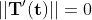 ||\bold{T'(t)}||=0