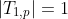 |T_{1,p}|=1
