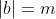 |b|=m
