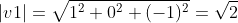 |v1|=\sqrt{1^2+0^2+(-1)^2}=\sqrt{2}
