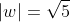 |w|=\sqrt5