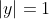 |y|=1
