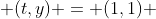  (t,y) = (1,1) 