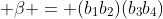  \beta = (b_{1}b_{2})(b_{3}b_{4})