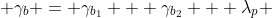 \gamma_b = \gamma_{b_1} + \gamma_{b_2} + \lambda_p 